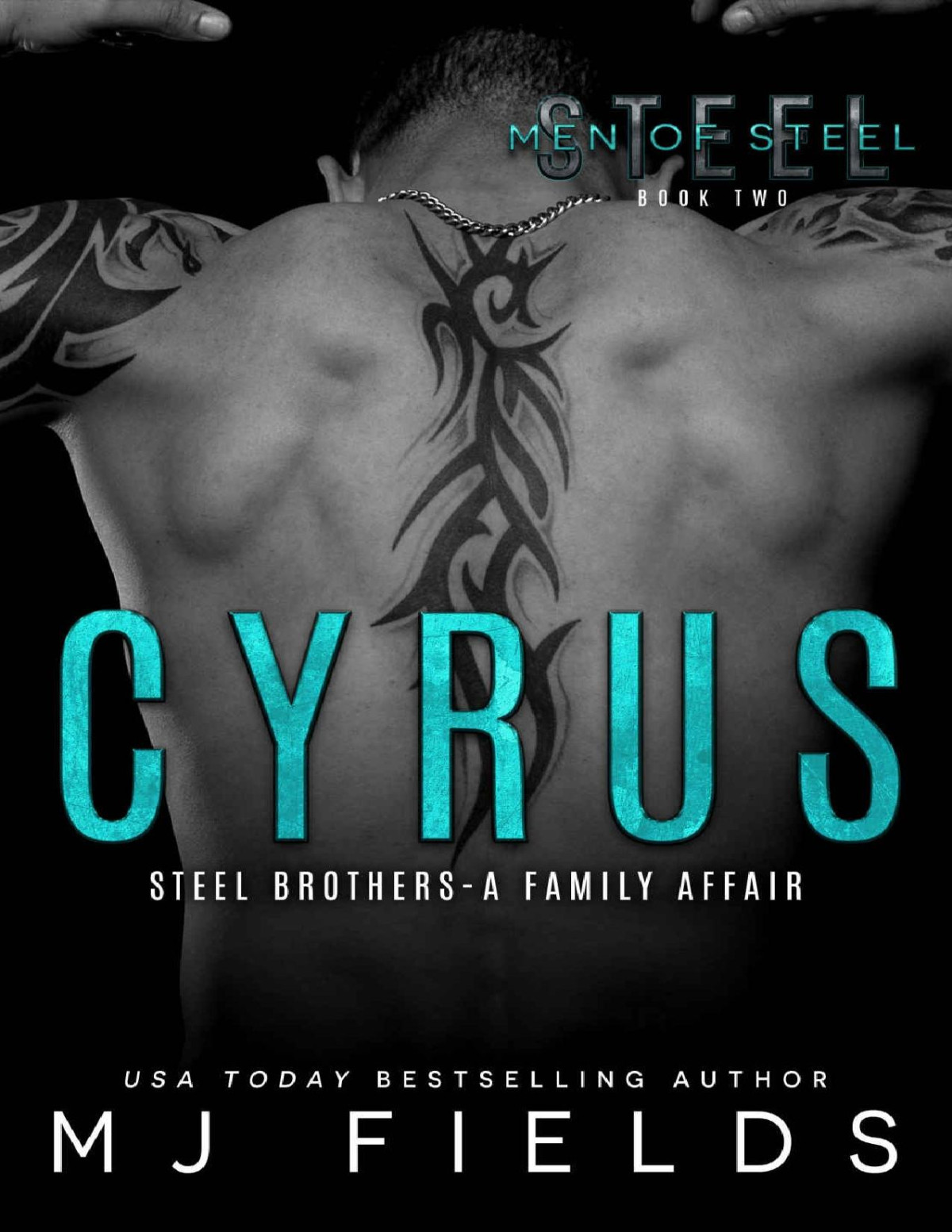 Cyrus Steel Brothers A Family Affair A Men Of Steel Book 2 Mj Fields Fields