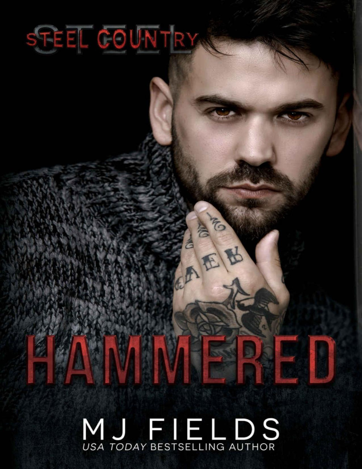 Hammered Falcon Brothers Steel Country Book 1 Mj Fields Fields
