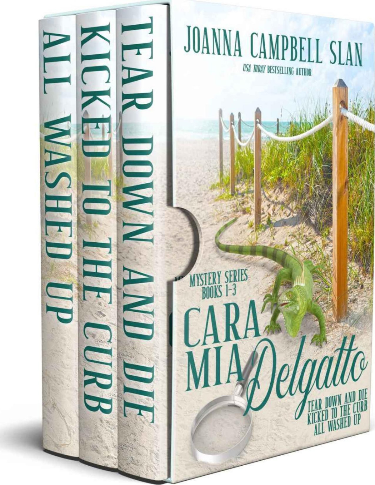 Cara Mia Delgatto Mysteries Box Set 1 Three Fulllength Mysteries Celebrating Friendship Families And Furbabies Cara Mia Delgatto Mystery Series Joanna Campbell Slan Slan