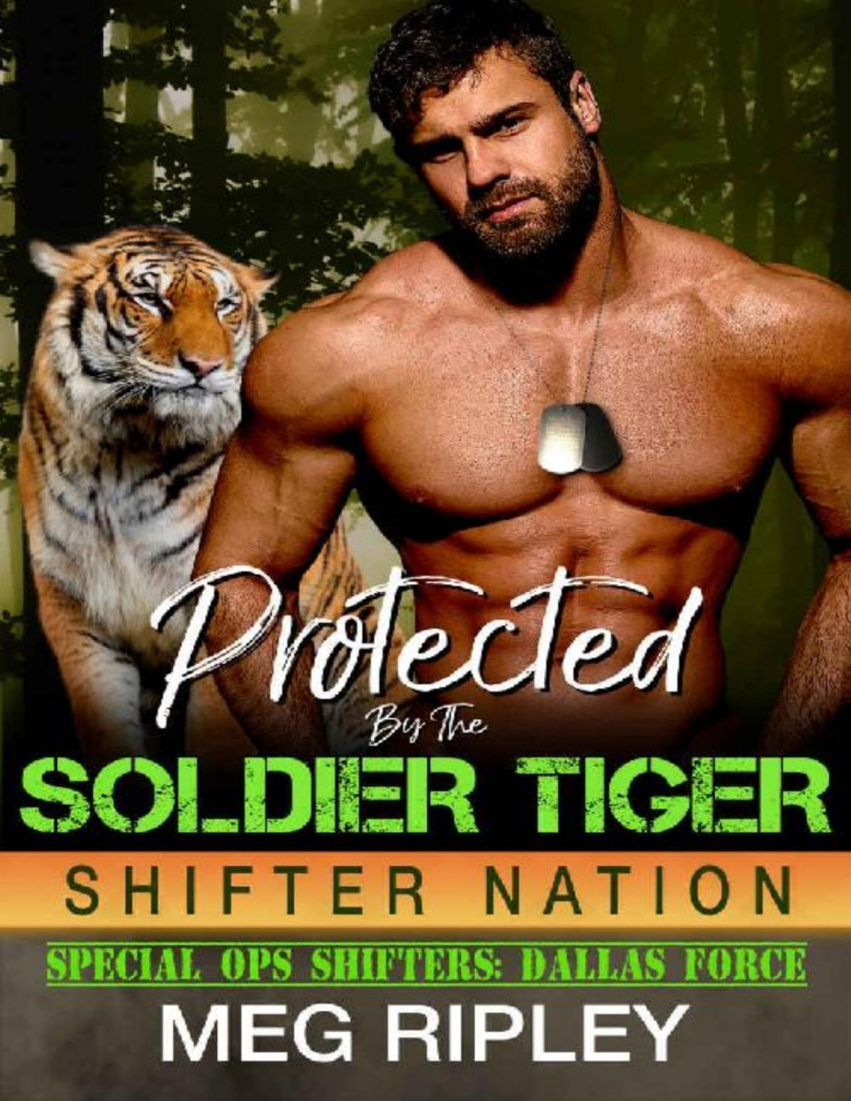 Protected By The Soldier Tiger Shifter Nation Special Ops Shifters Dallas Force Meg Ripley Ripley