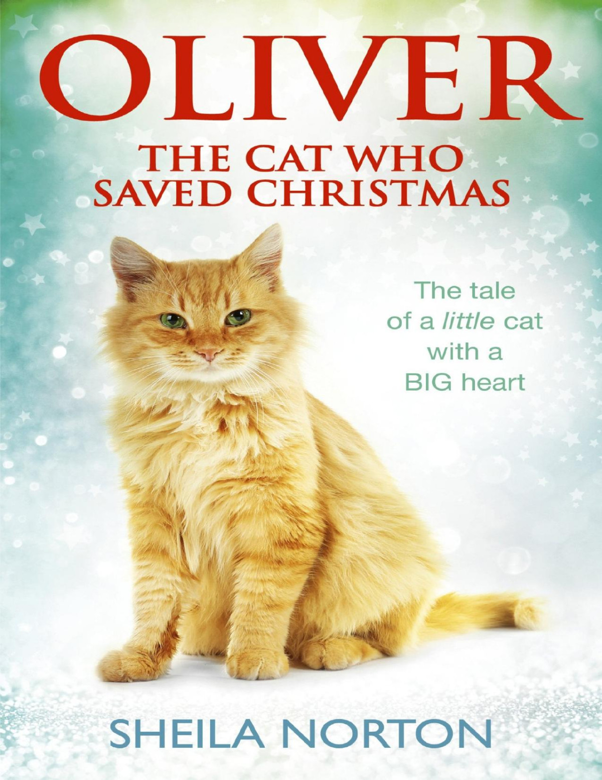 Oliver The Cat Who Saved Christmas The Tale Of A Little Cat With A Big Heart Sheila Norton Norton