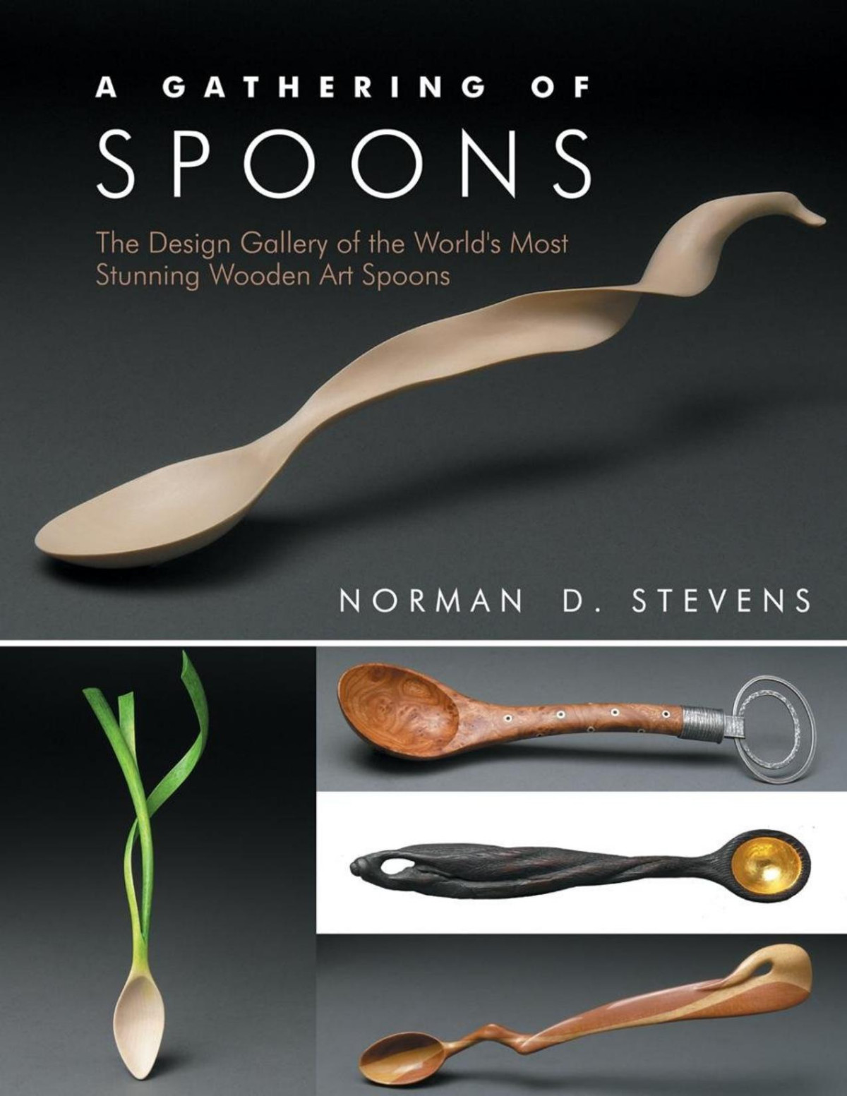 A Gathering Of Spoons The Design Gallery Of The Worlds Most Stunning Wooden Art Spoons Norman D Stevens Stevens