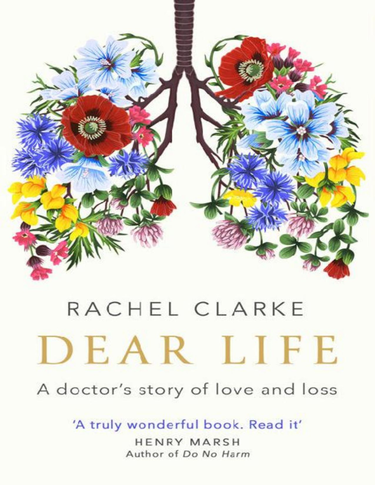 Dear Life A Doctors Story Of Love And Loss Rachel Clarke Clarke