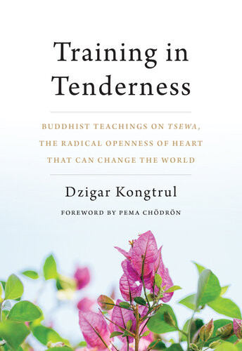 Training In Tenderness Buddhist Teachings On Tsewa The Radical Openness Of Heart That Can Change The World Dzigar Kongtrul