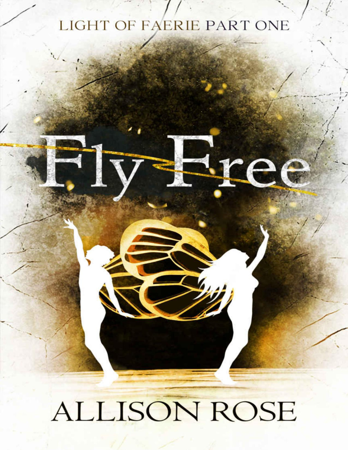 Fly Free Light Of Faerie Book 1 Allison Rose Rose Allison