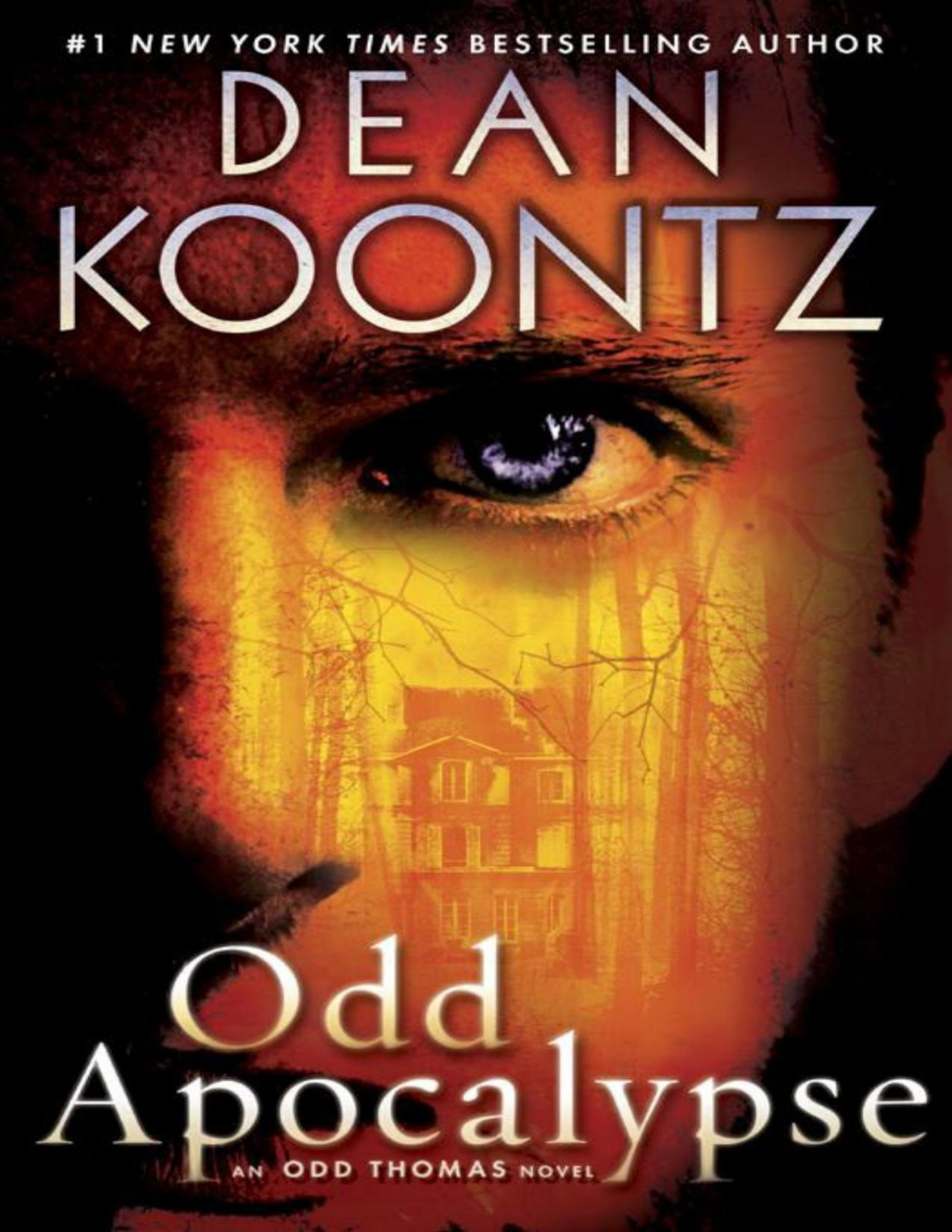 Odd Thomas 5 Odd Apocalypse Dean Koontz
