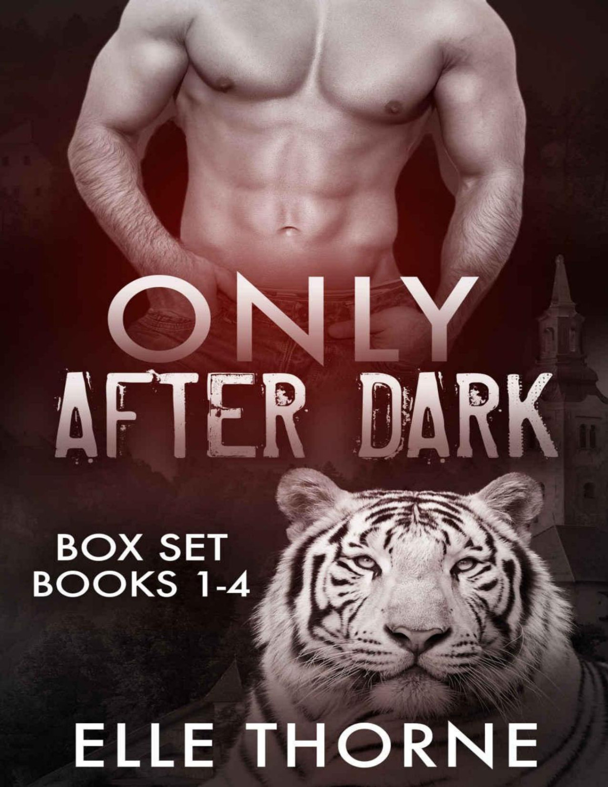 Only After Dark The Boxed Set Books 1 4 Shifters Forever Worlds Elle Thorne Thorne