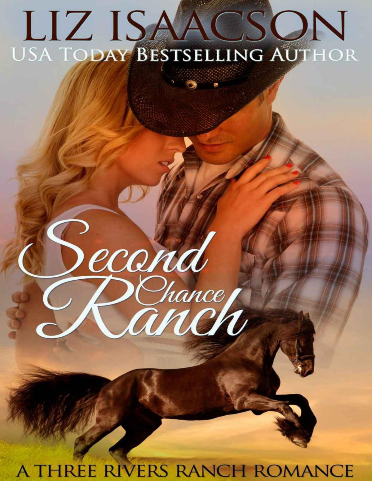 Second Chance Ranch Christian Contemporary Romance Three Rivers Ranch Romance Book 1 Liz Isaacson Johnson