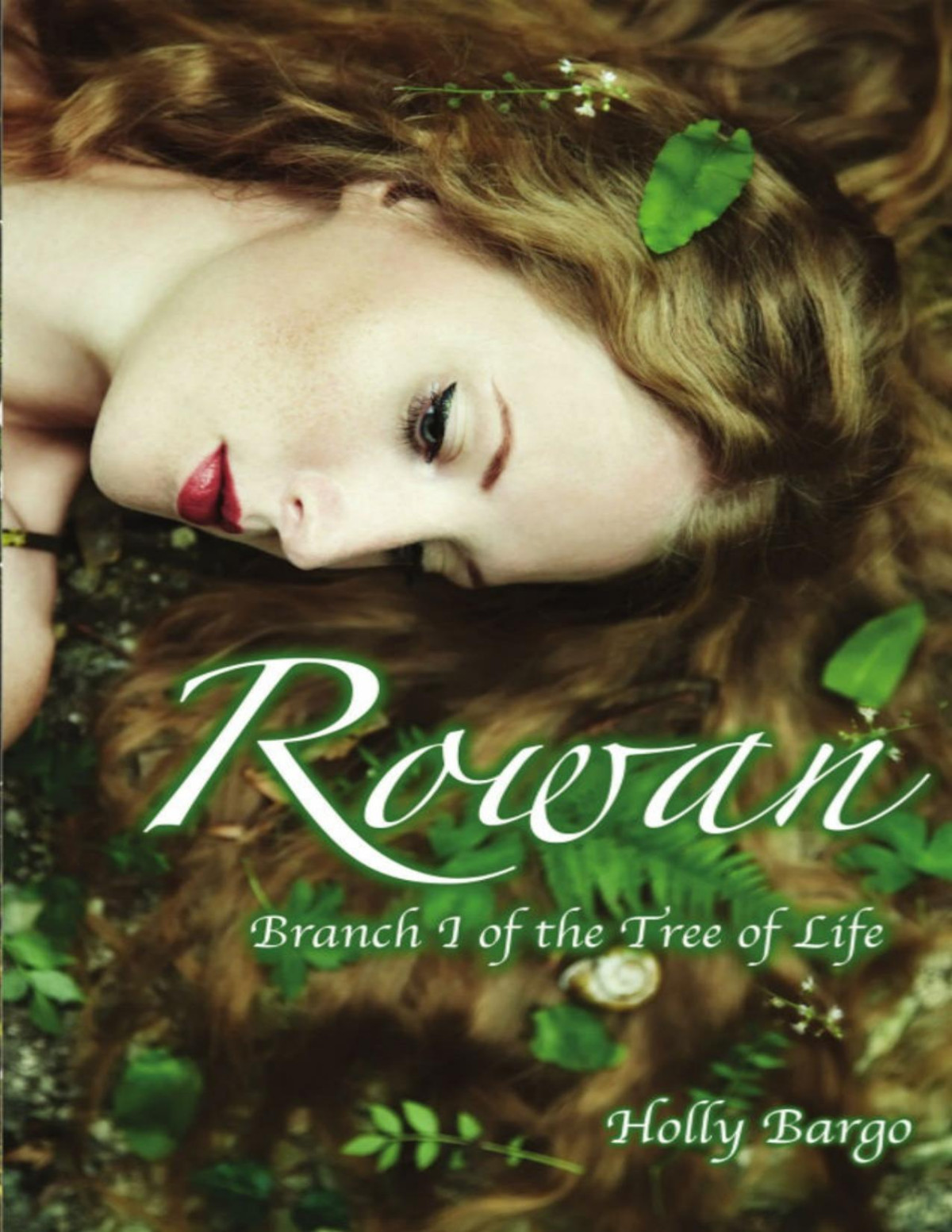 Rowan Branch 1 Of The Tree Of Life Holly Bargo Bargo Holly