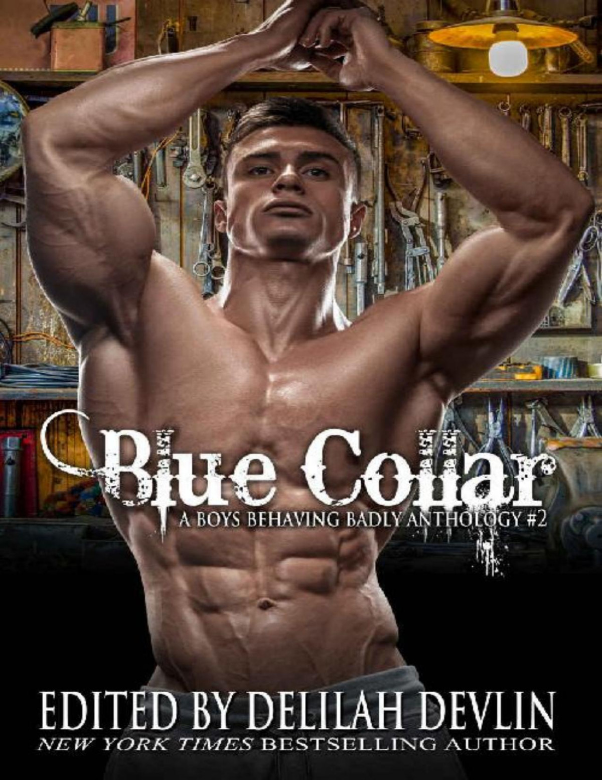 Blue Collar A Boys Behaving Badly Anthology Book 2 Delilah Devlin Elle James Layla Chase Megan Mitcham Adele Downs Kris Norris Nj Walters Mia Hopkins Sukie Chapin Belinda Lapage Susan Saxx Kalissa Wayne Jennifer Kacey M Marie Robie Madison Tray Ellis Devlin