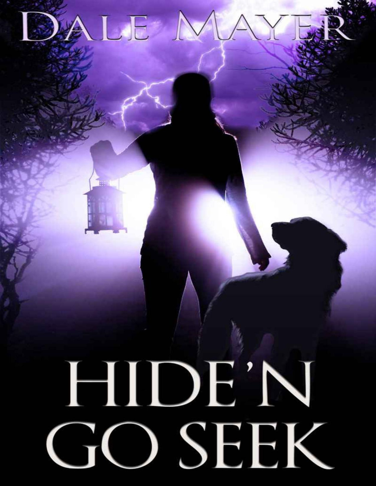 Hiden Go Seek Book 2 Of Psychic Visions A Paranormal Romance Dale Mayer Mayer