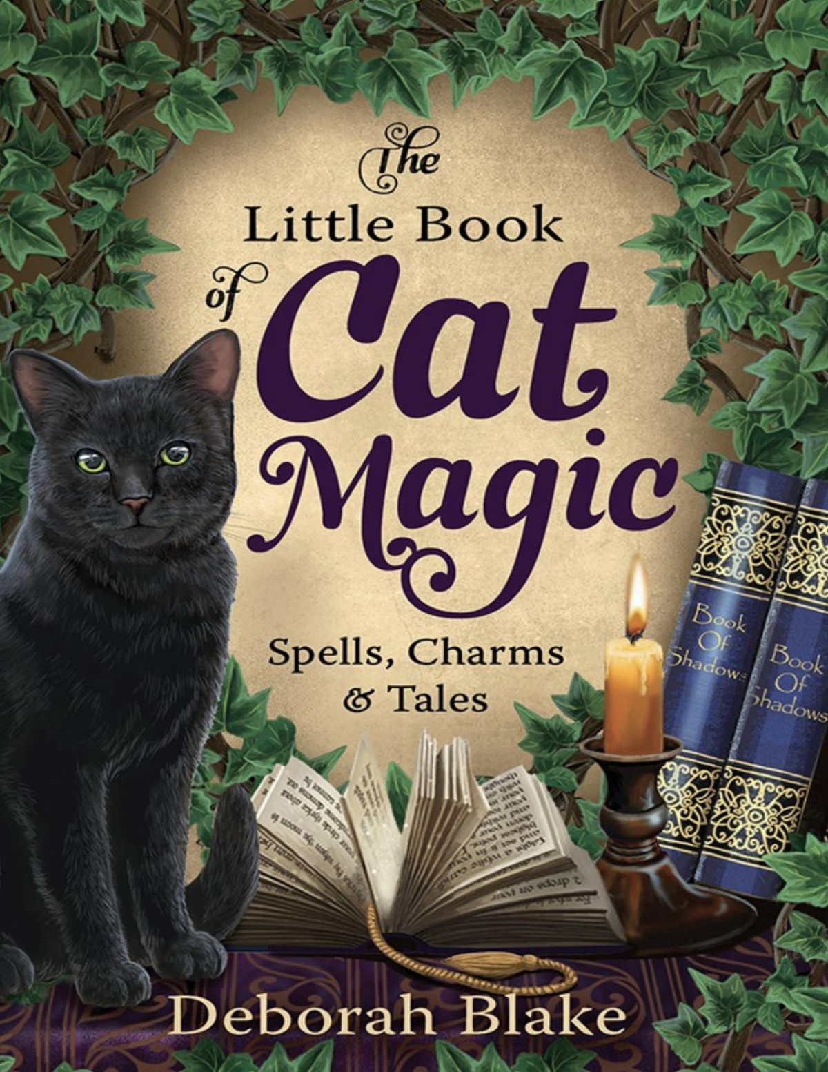 The Little Book Of Cat Magic Deborah Blake