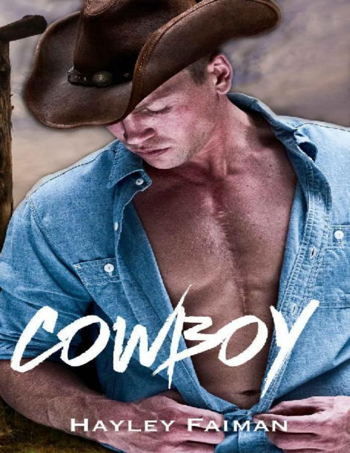 Cowboy Unfit Hero Book 5 Hayley Faiman Faiman Hayley