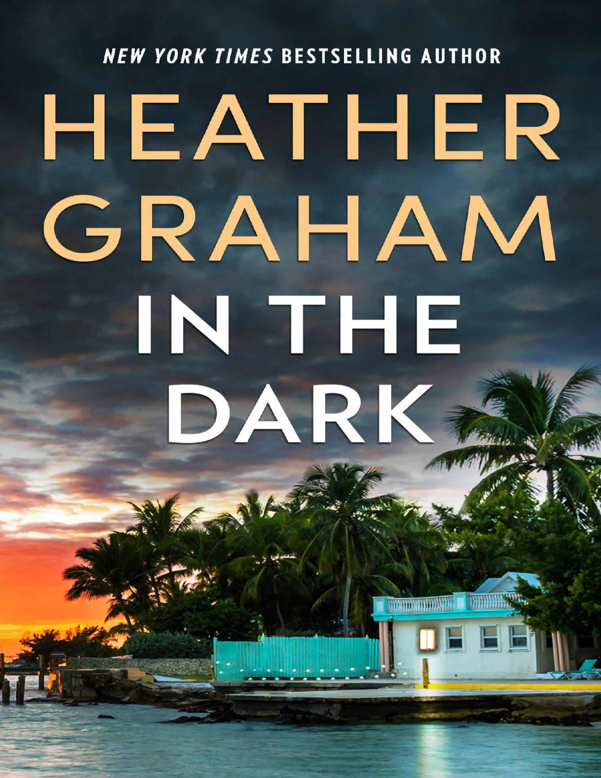 In The Dark Heather Graham