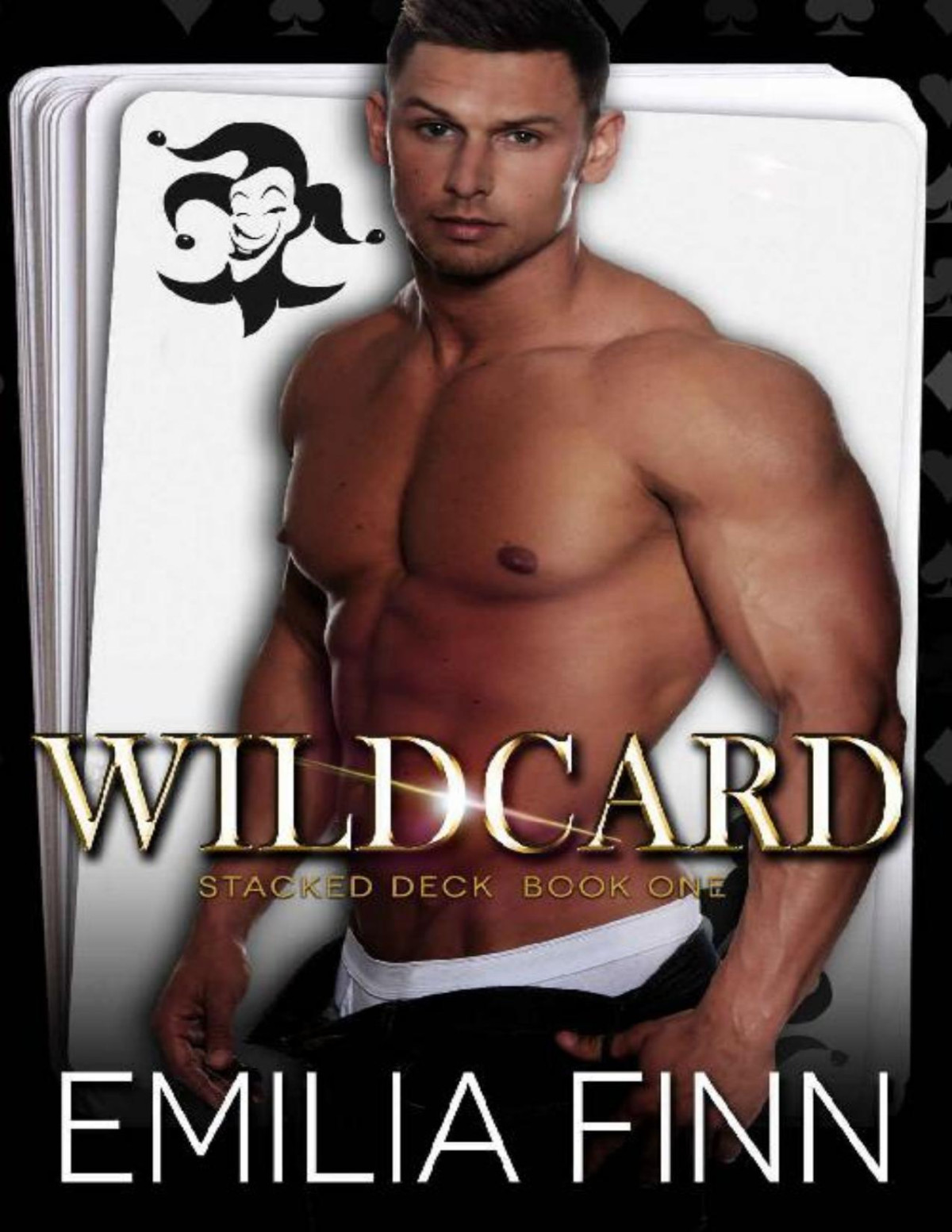 Wildcard Stacked Deck Book 1 Emilia Finn Finn Emilia