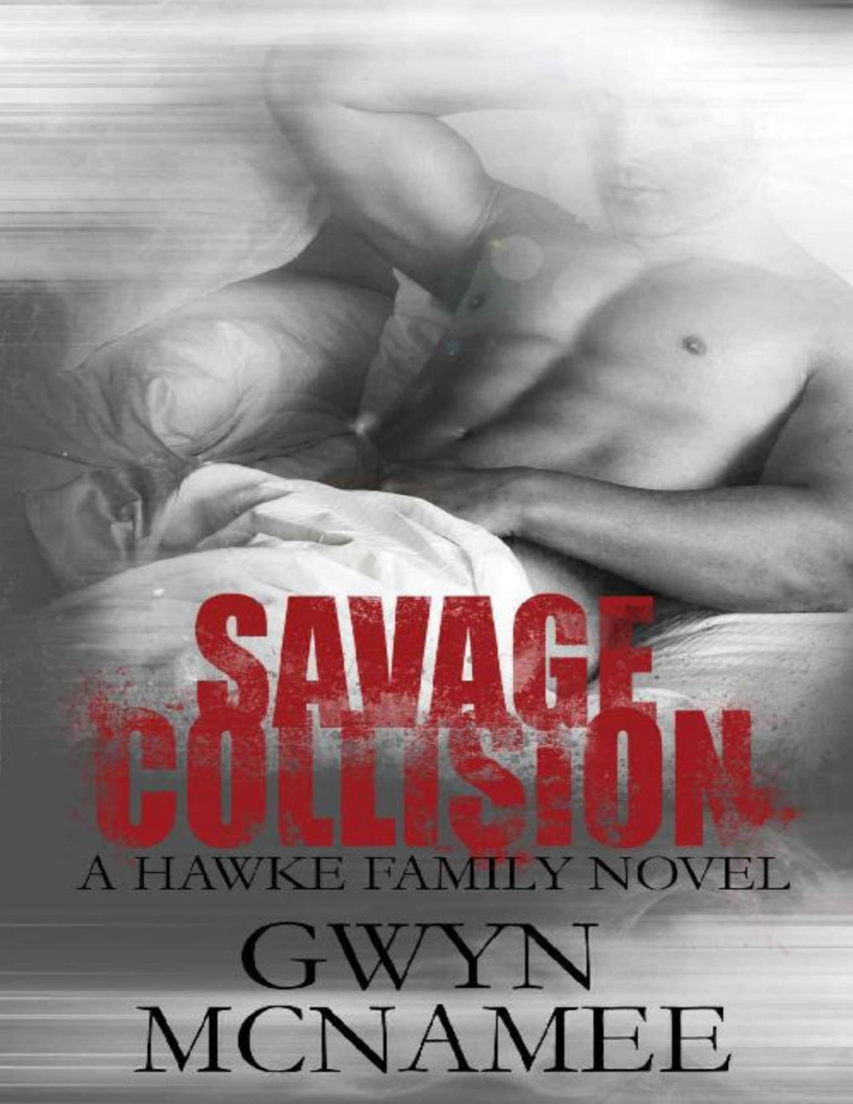 Savage Collision A Hawke Family Novel The Hawke Family Book 1 Gwyn Mcnamee Mcnamee