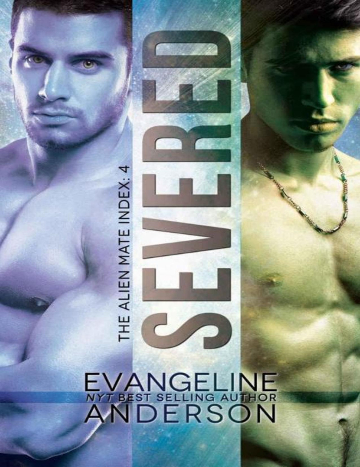 Severed Alien Mate Index Book 4 Alien Warrior Bbw Ir Science Fiction Paranormal Romance The Alien Mate Index Evangeline Anderson Anderson