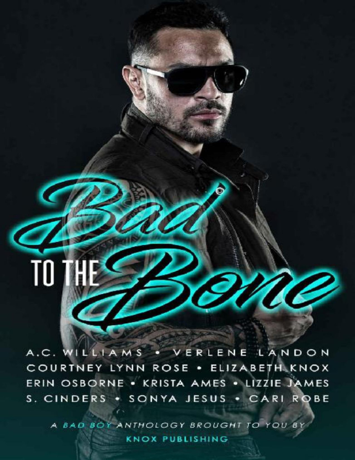 Bad To The Bone A Bad Boy Anthology Elizabeth Knox Ac Williams Verlene Landon Cari Robe Courtney Lynn Rose Erin Osborne Krista Ames Lizzie James S Cinders Sonya Costa Knox
