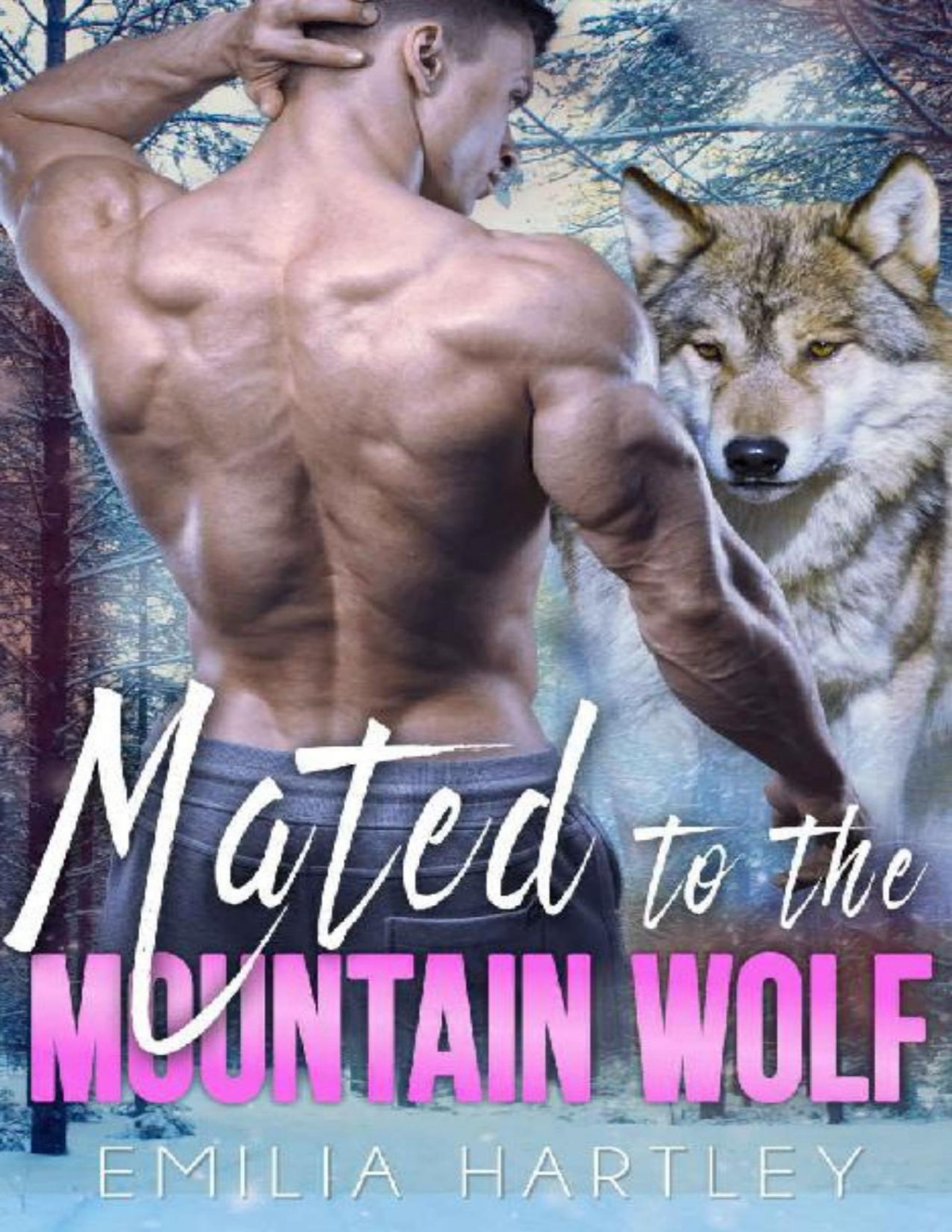 Mated To The Mountain Wolf Mountain Wolf Protectors Book 3 Emilia Hartley Hartley