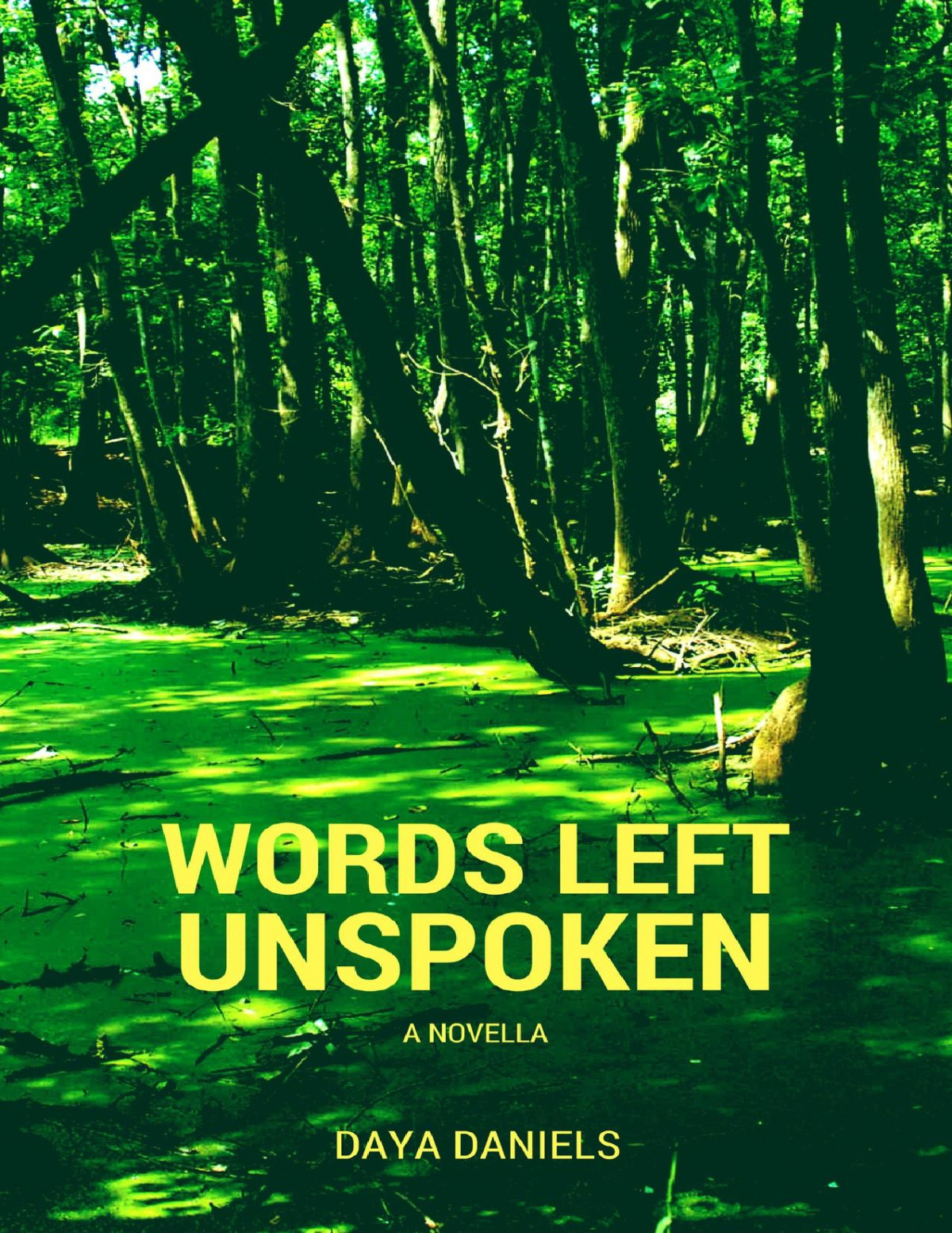 Words Left Unspoken A Novella Daniels Daya