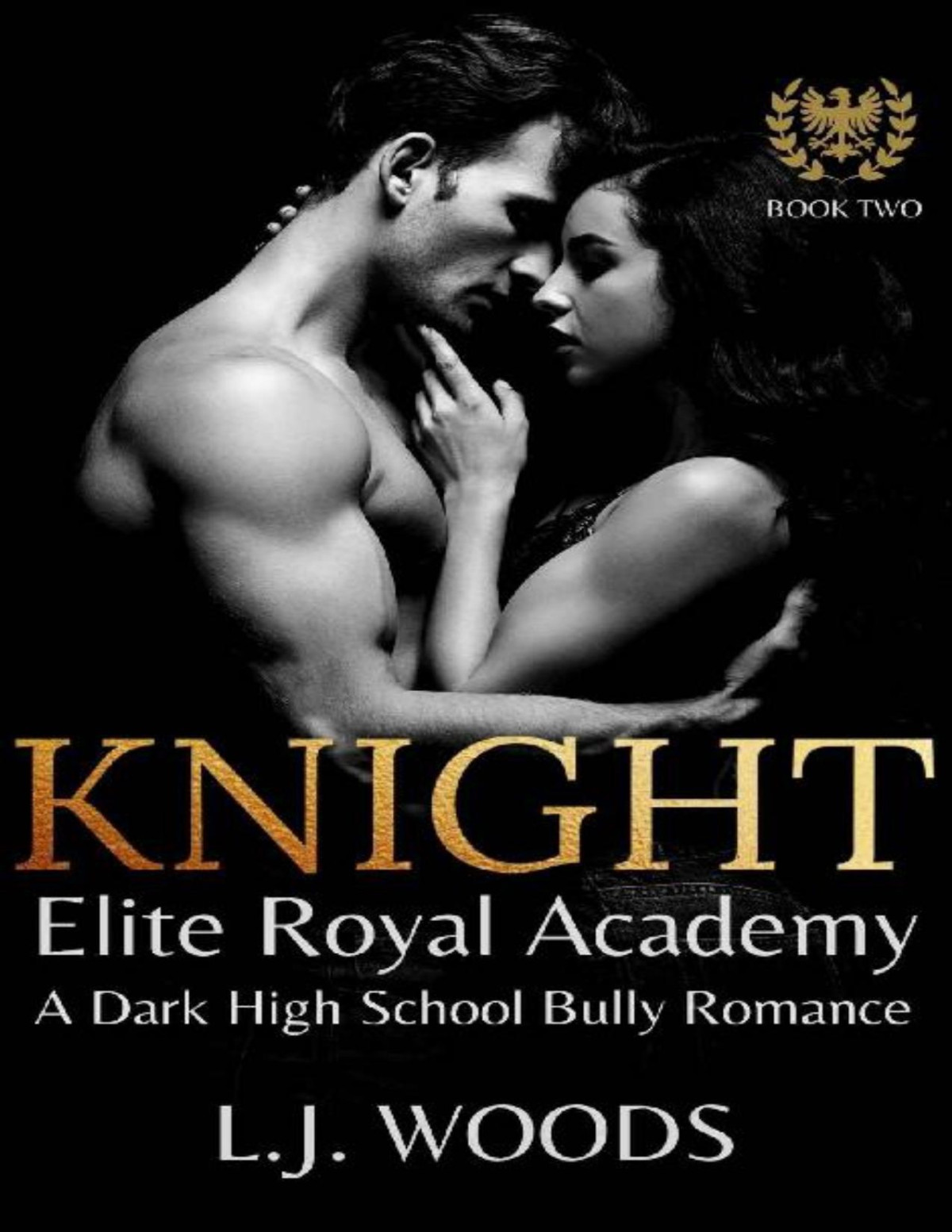Knight A Dark High School Bully Romance Lj Woods Woods Lj