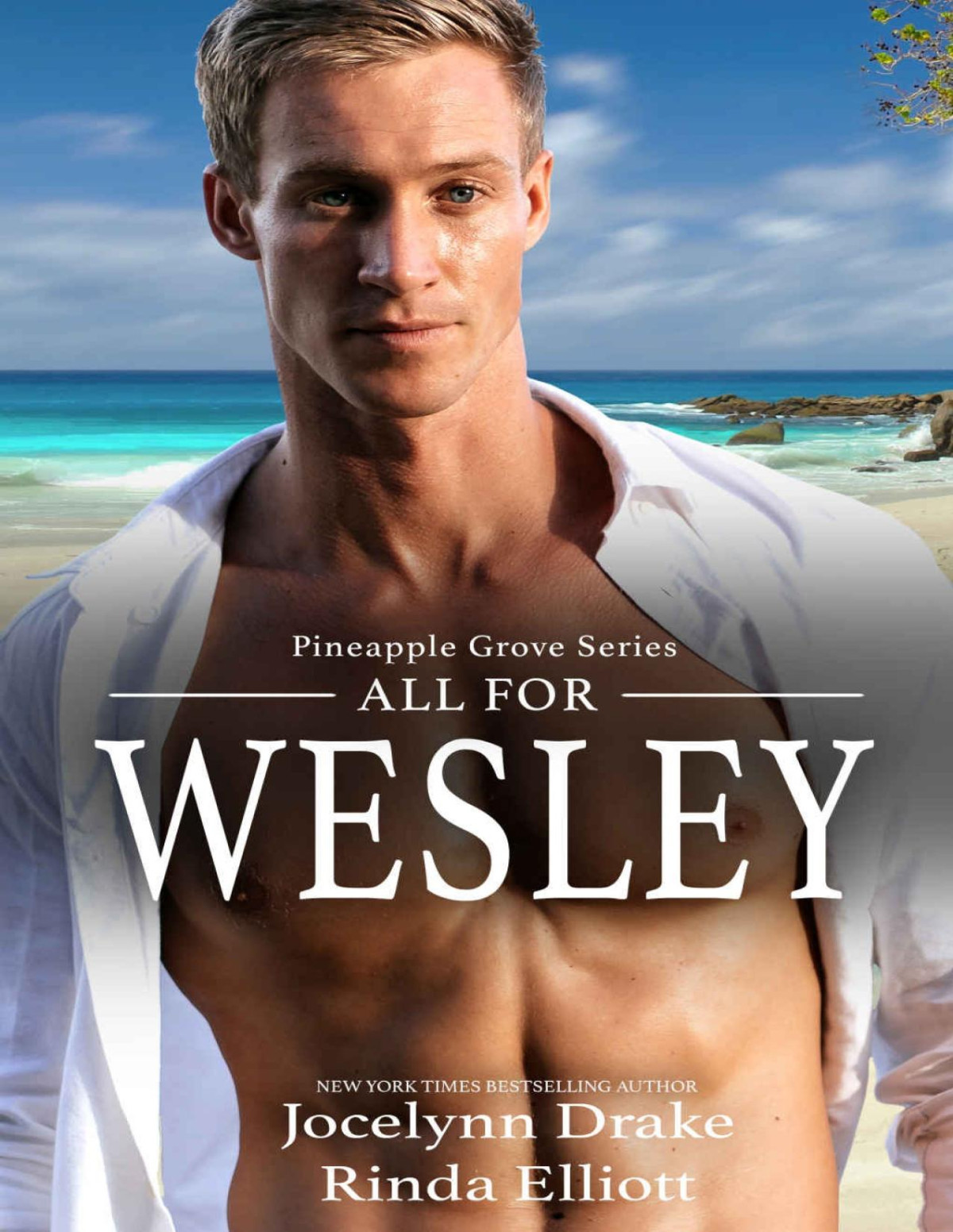 All For Wesley Pineapple Grove Book 3 Jocelynn Drake Rinda Elliott Drake