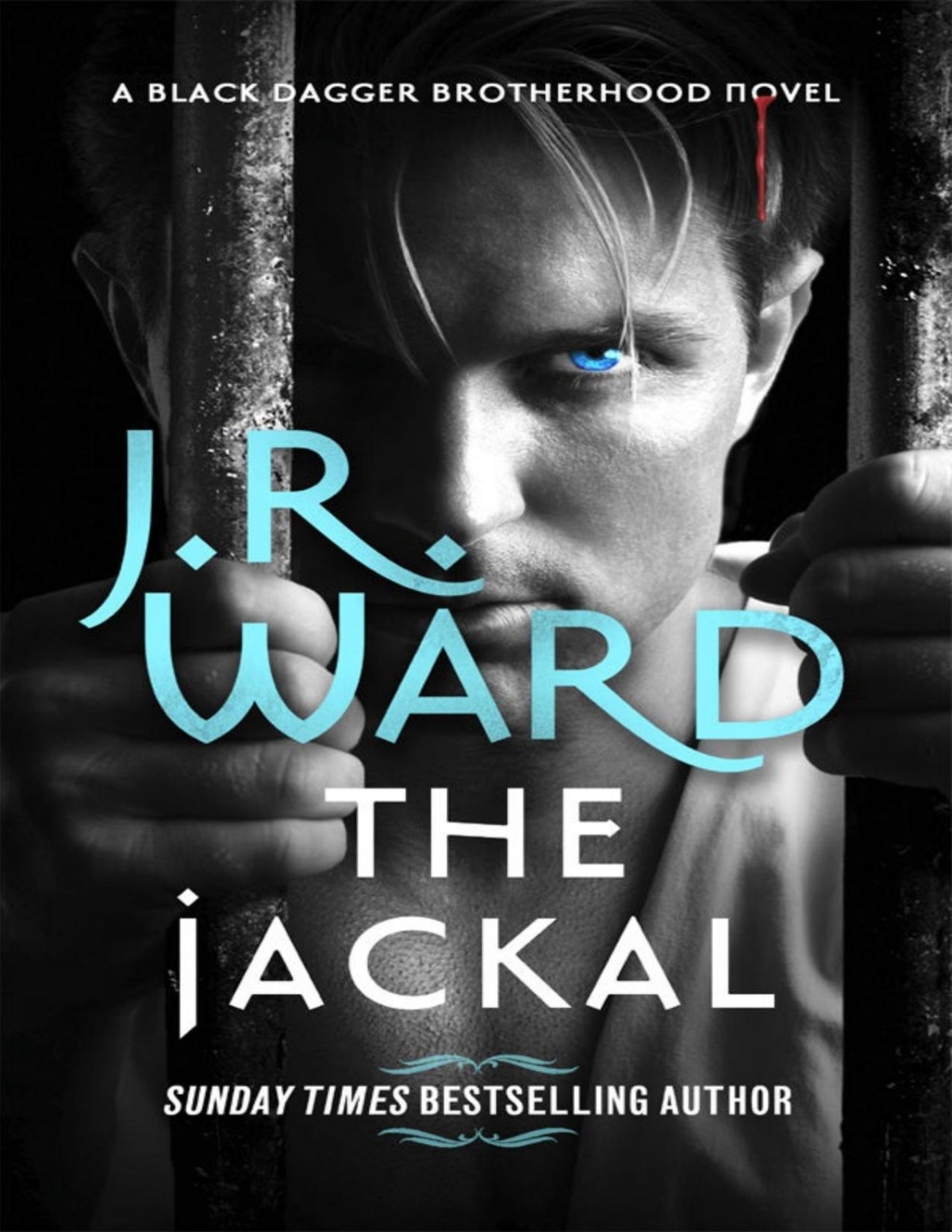 The Jackal Ward J R