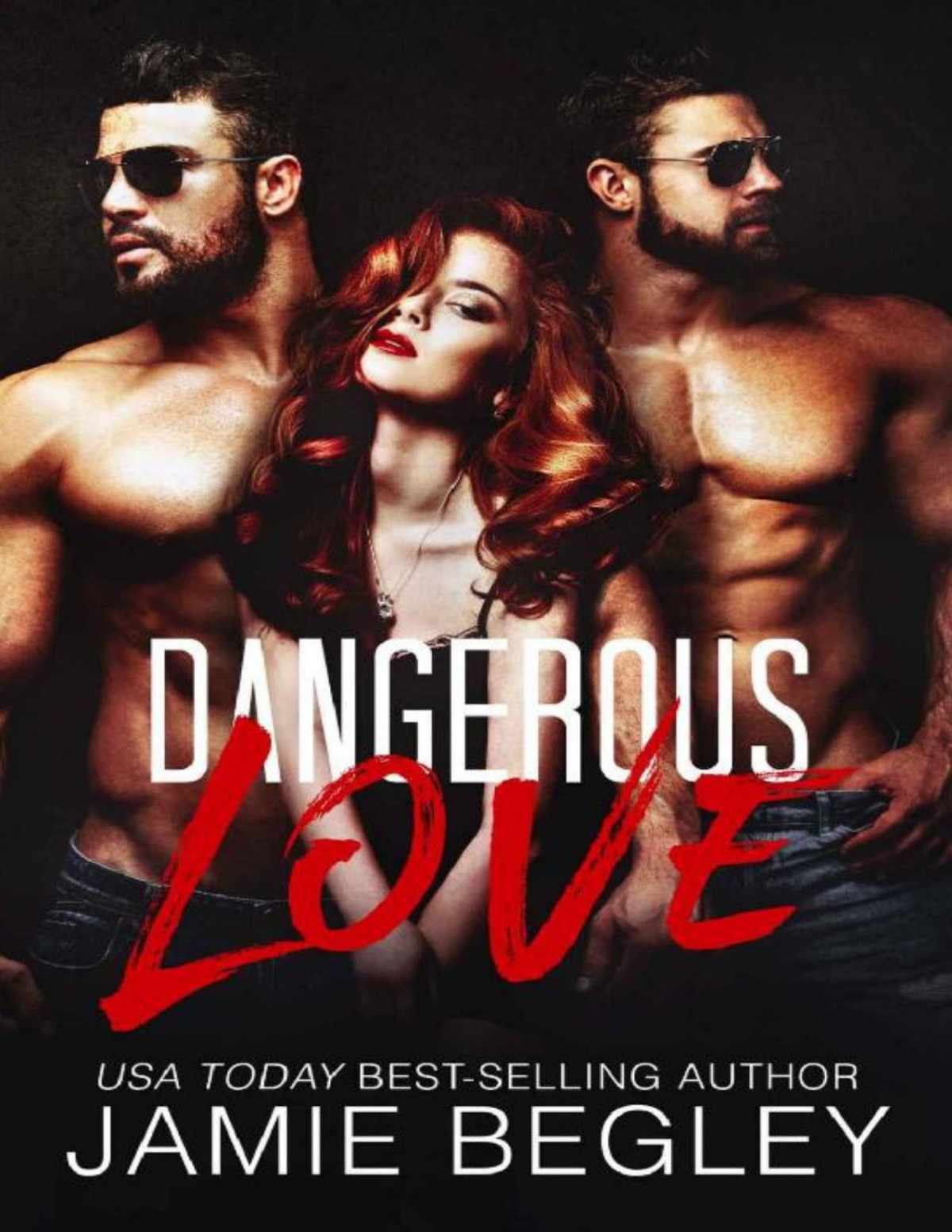 Dangerous Love Jamie Begley Begley Jamie