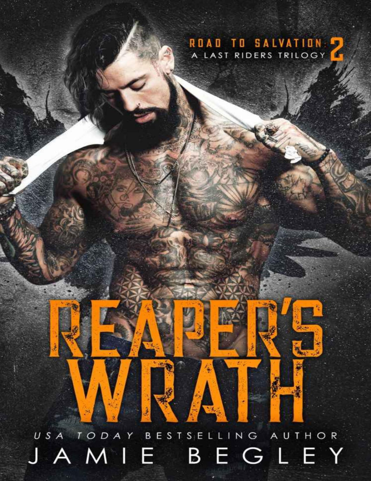 Reapers Wrath Road To Salvation A Last Riders Trilogy 2 Begley