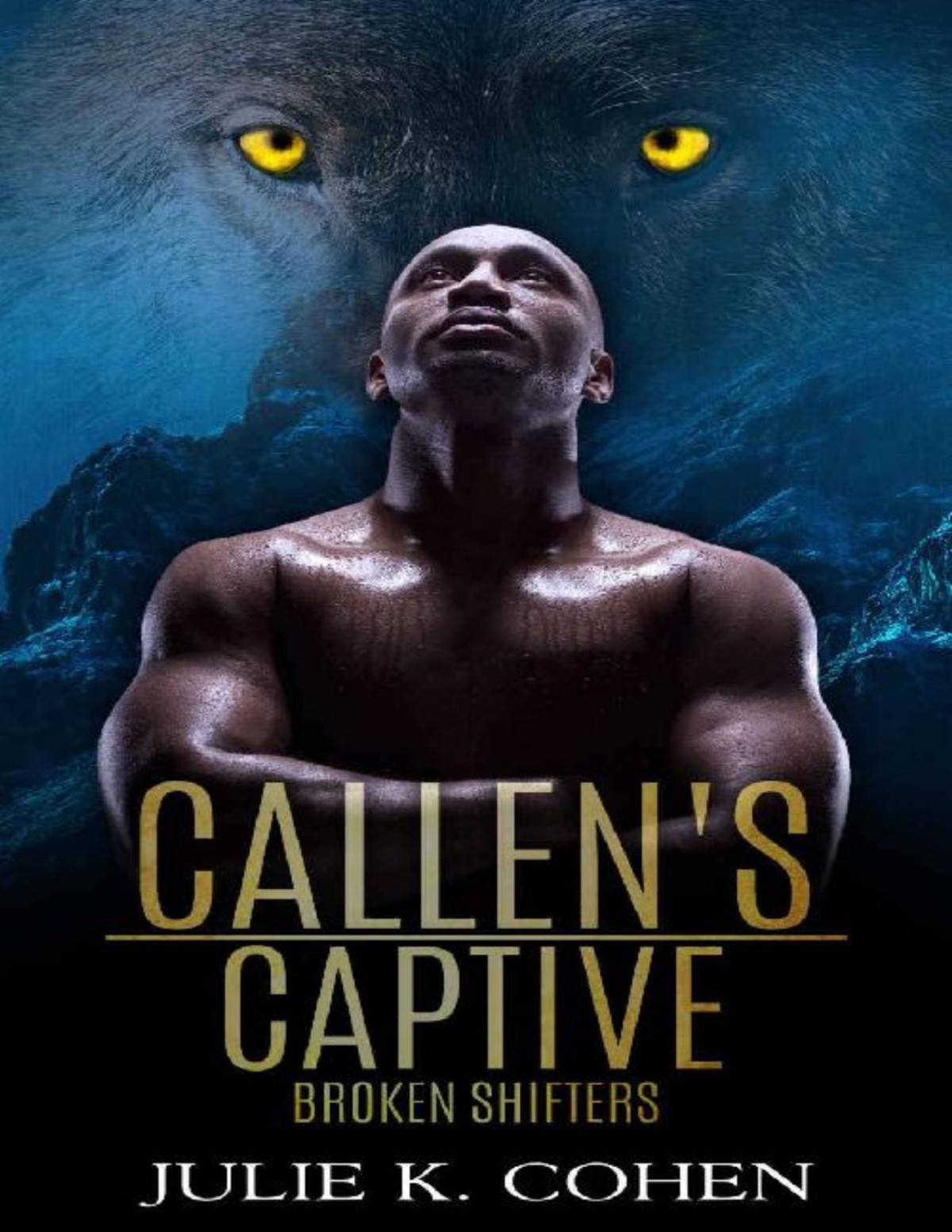 Callens Captive Wolf Shifter Paranormal Romance Broken Shifters Book 3 Julie K Cohen Cohen