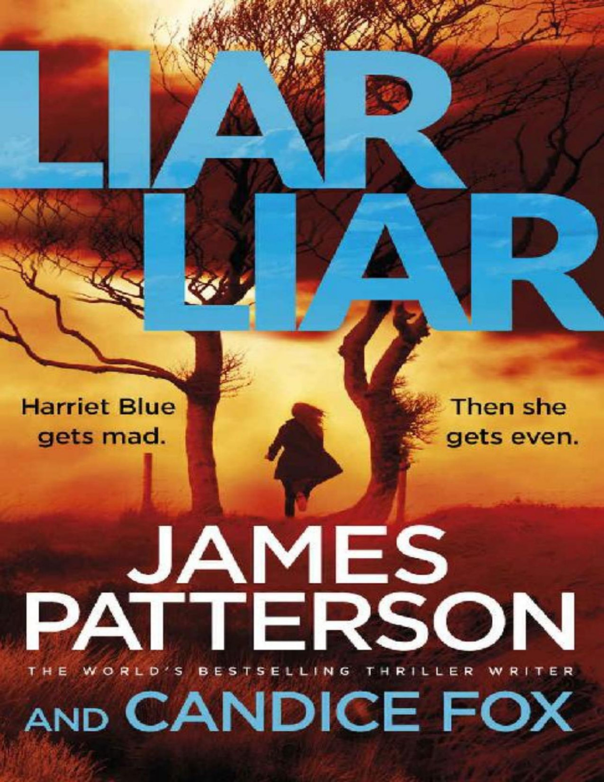 Liar Liar Harriet Blue 3 Detective Harriet Blue Series James Patterson Candice Fox Patterson