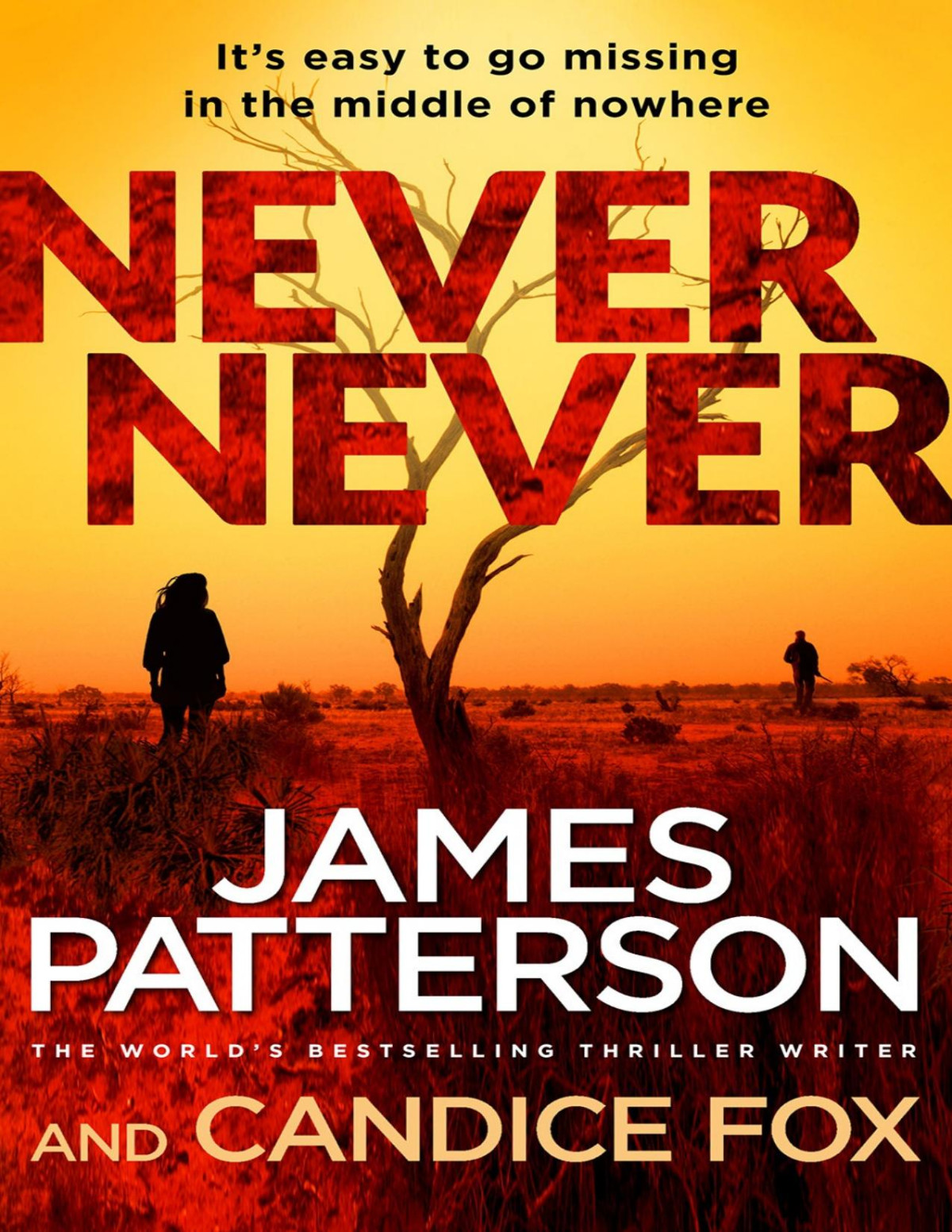 Never Never James Patterson