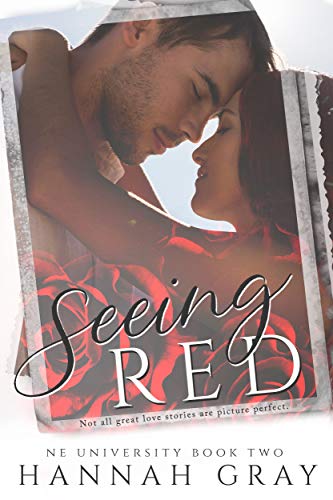 Seeing Red A New Adult Sports Romance Hannah Gray