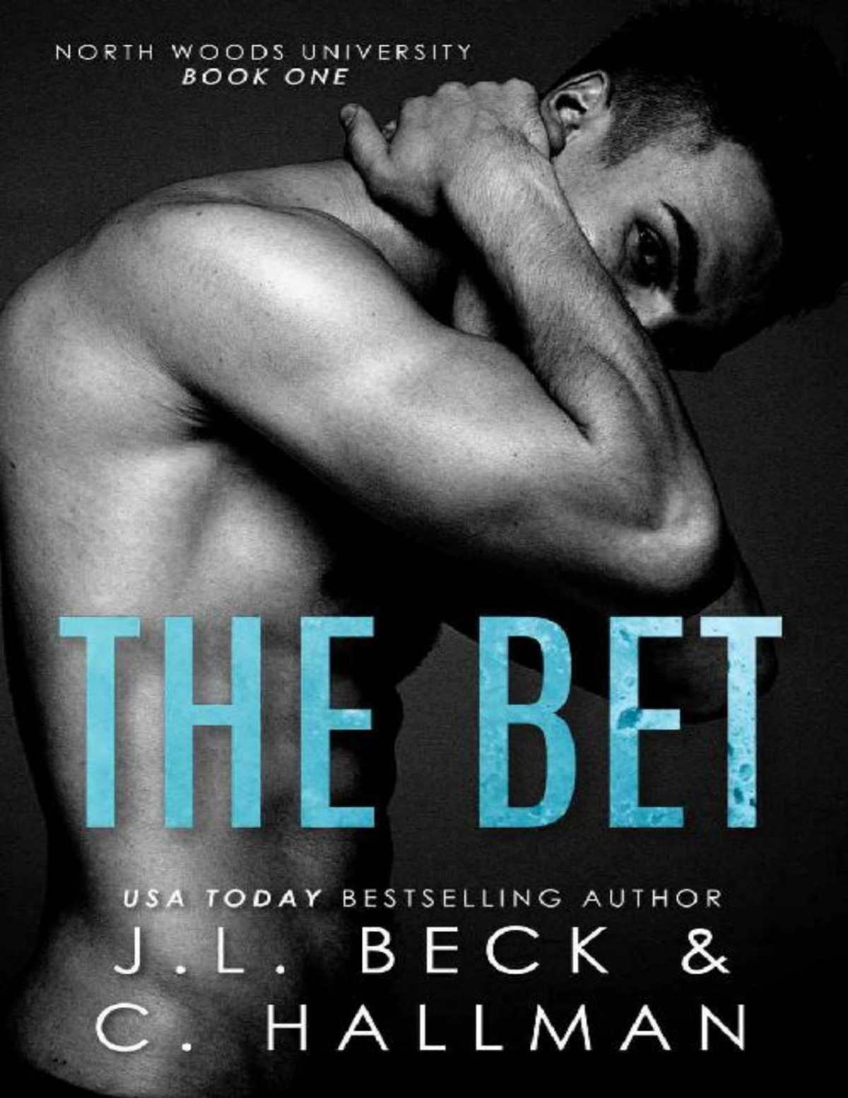 The Bet A Bully Romance North Woods University 1 Jl Beck