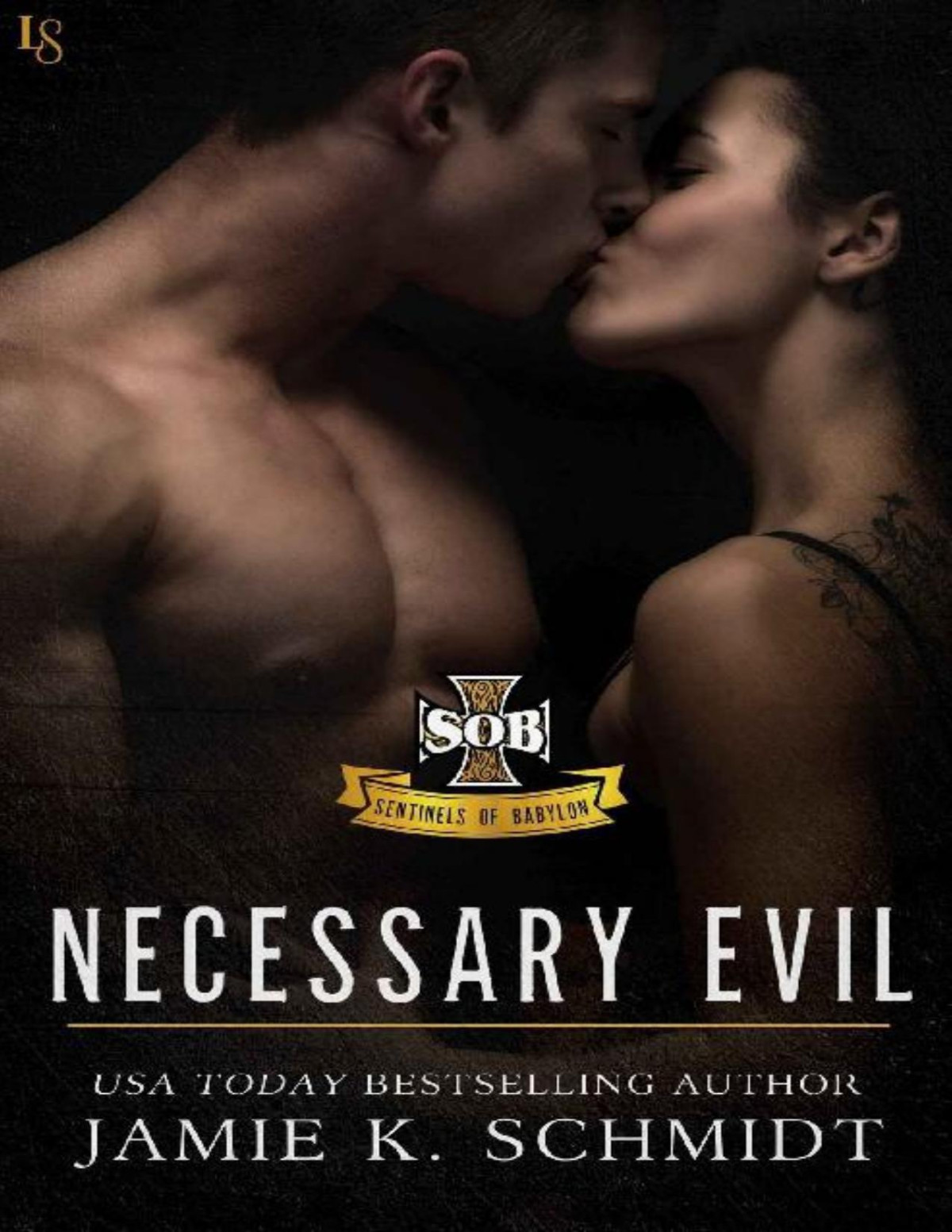 Necessary Evil Sentinels Of Babylon Jamie K Schmidt Schmidt