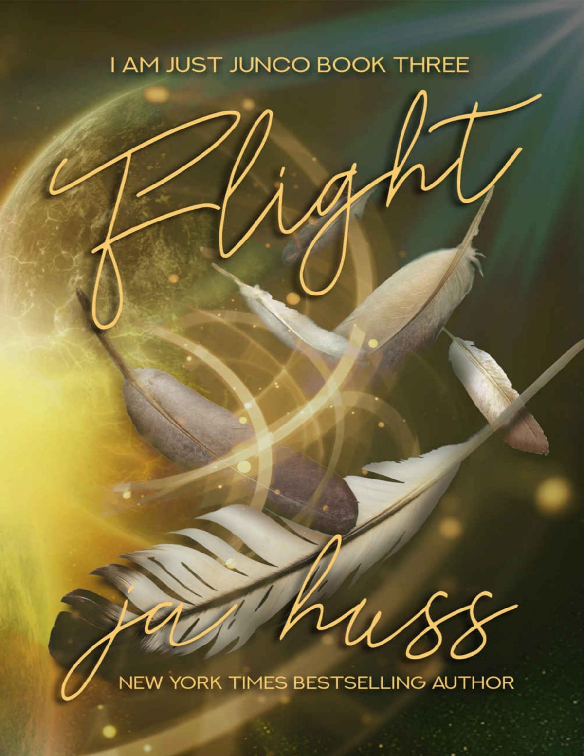 Flight I Am Just Junco Book 3 Ja Huss Huss Ja