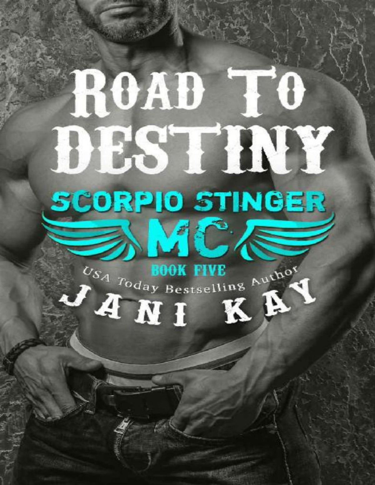 Road To Destiny Scorpio Stinger Mc Book 5 Jani Kay Kay Jani