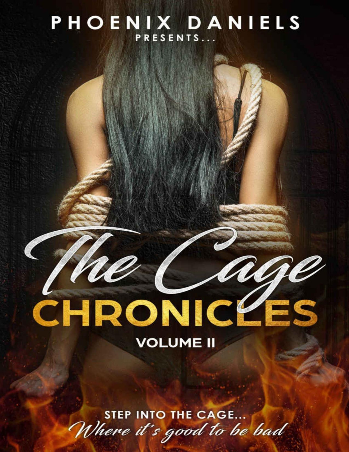 The Cage Chronicles Volume Ii Phoenix Daniels Laverne Thompson Sk Lessly Jon Bradbury K Alex Walker Angela Kay Austin Daniels