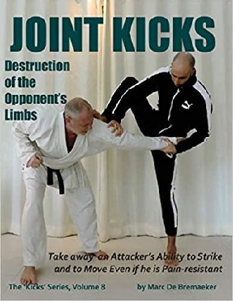 Joint Kicks Destruction Of The Opponents Limbs De Bremaeker