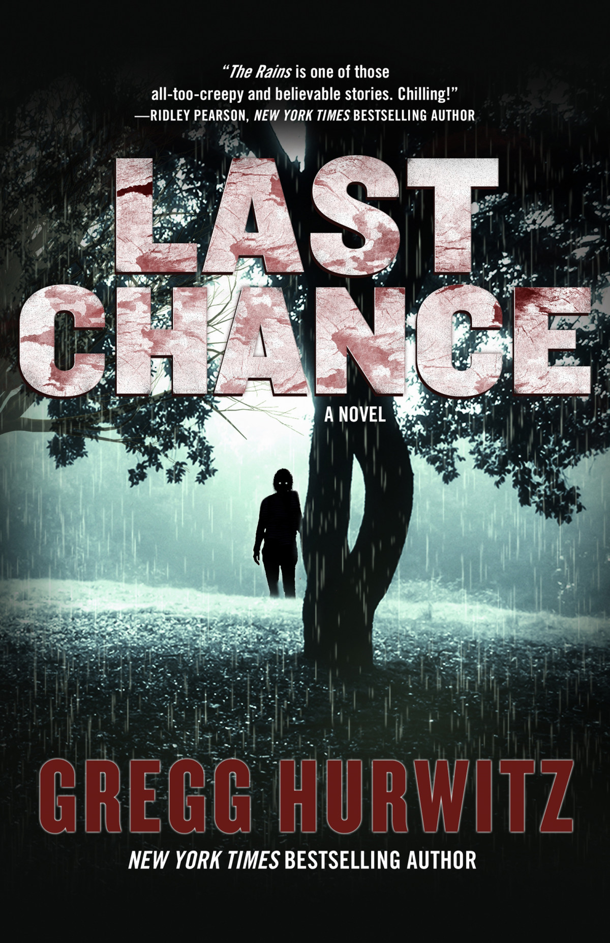 Last Chance Rains Brothers 2 1st Edition Gregg Hurwitz