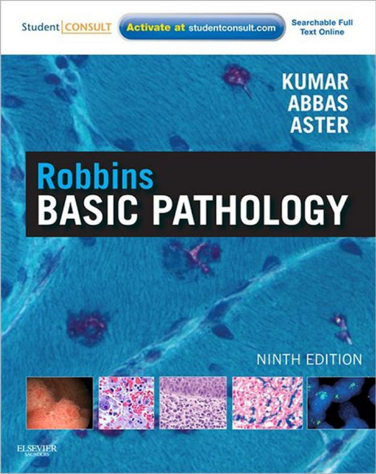 Robbins Basic Pathology Vinay Kumar Abul K Abbas Jon C Aster