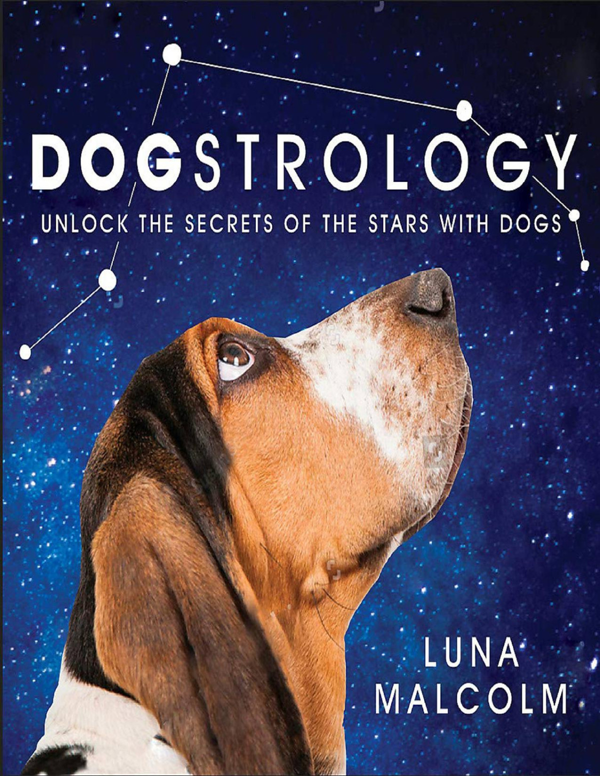 Dogstrology Luna Malcolm Malcolm Luna