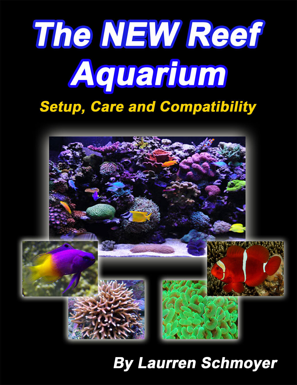 The New Reef Aquarium Setup Care And Compatibility Laurren Schmoyer Schmoyer