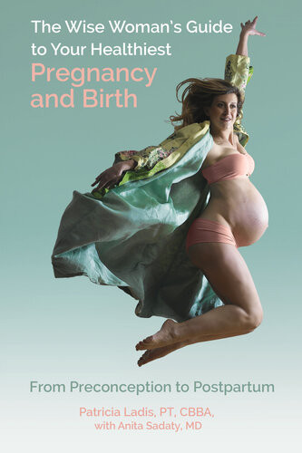 Healthiest Pregnancy And Birth From Preconception To Postpartum Patricia Ladis