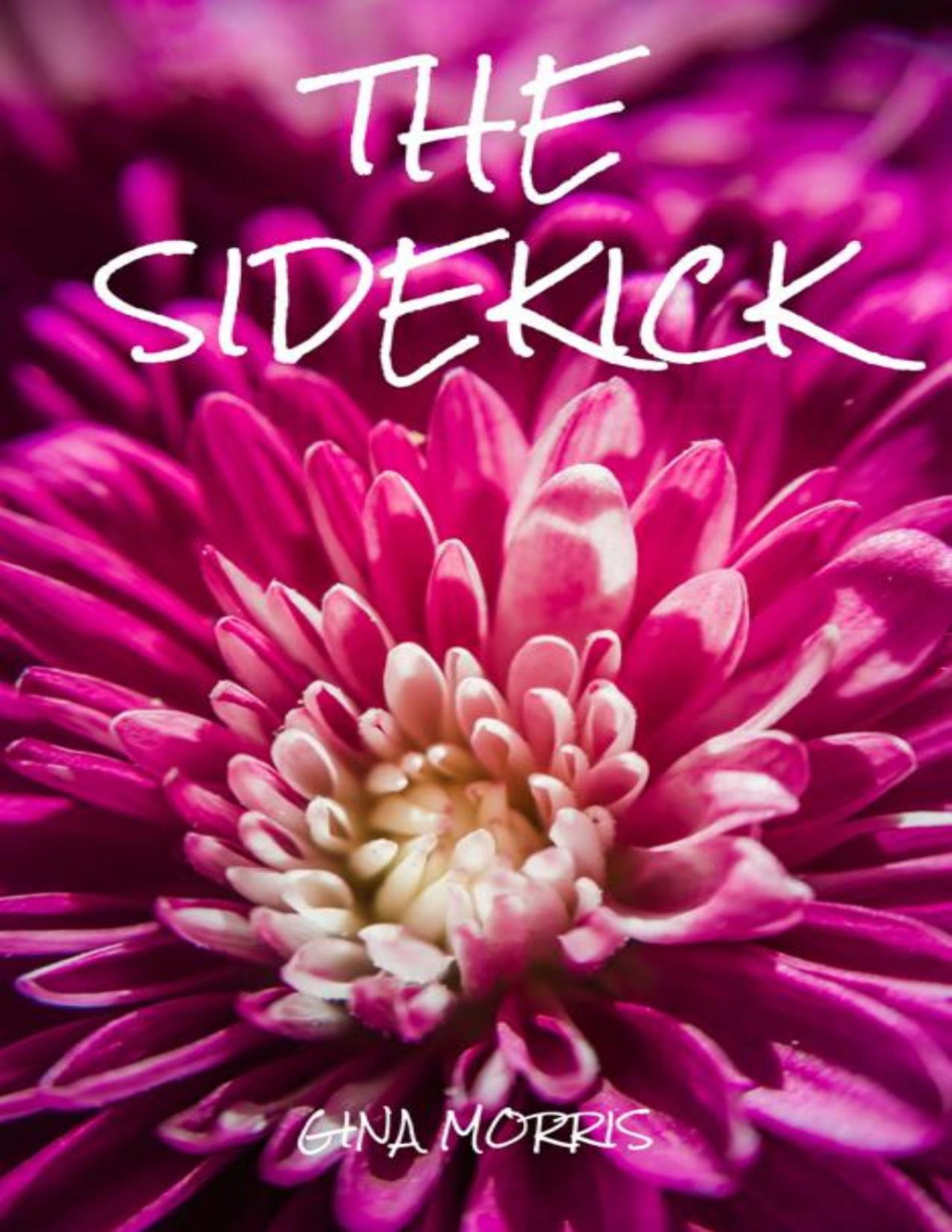 The Sidekick Gina Morris