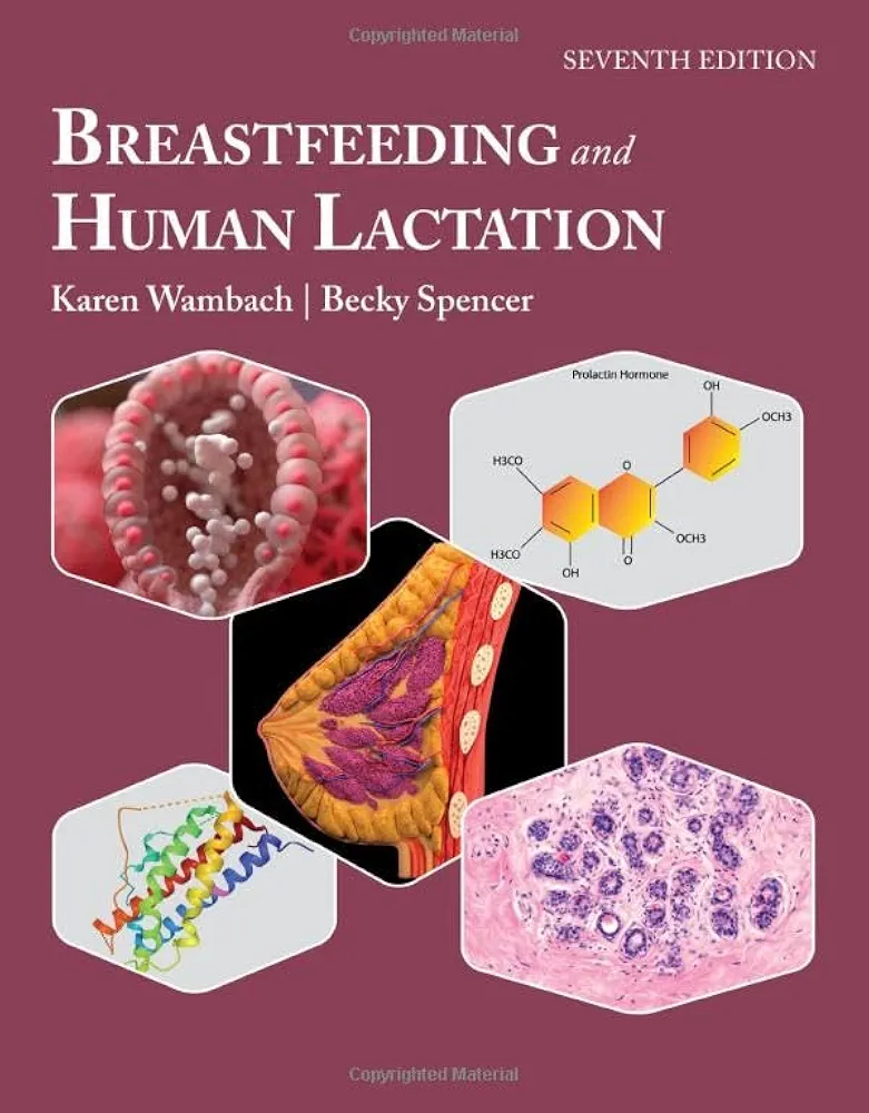 Breastfeeding And Human Lactation 7th 7th Edition Karen Wambach