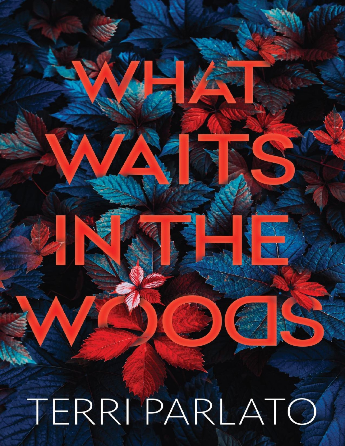 What Waits In The Woods Terri Parlato