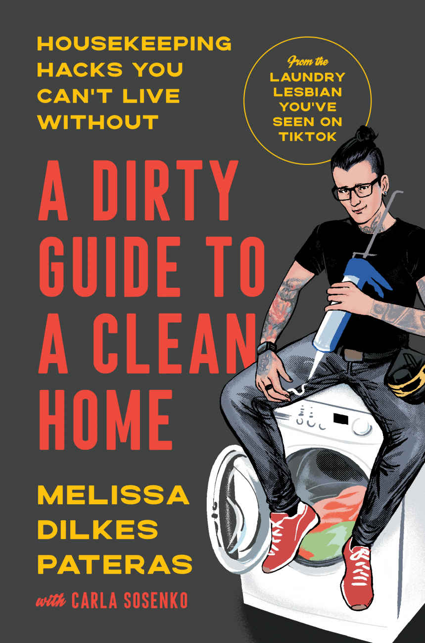 A Dirty Guide To A Clean Home Melissa Dilkes Pateras