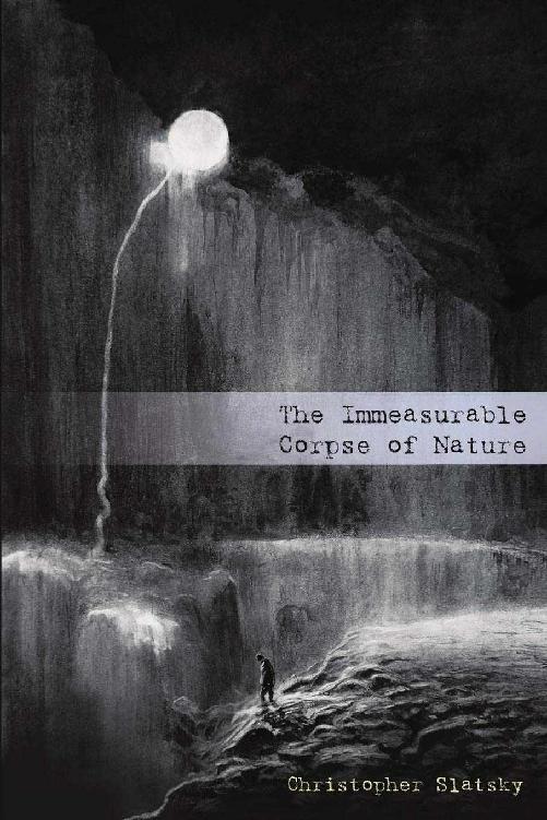 The Immeasurable Corpse Of Nature Christopher Slatsky