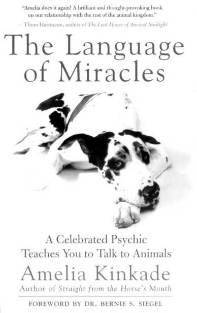 The Language Of Miracles A Celebrated Psychic Teaches You To Talk To Animals Amelia Kinkade